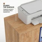 Wooden 2 Door File Storage Cabinet for Office & Home