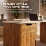 Computer Desk with Storage Cabinet & Drawers, Engineered Wood Study Table with White